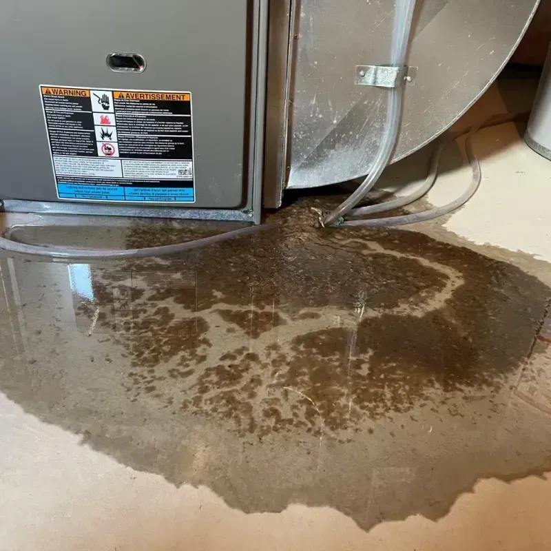 Appliance Leak Cleanup in Castle Rock, WA